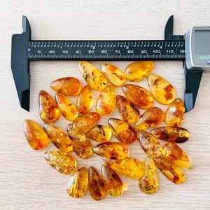 Op de afbeelding: Een verzameling van 25 traanvormige barnsteenstenen met insluitsels, vari&euml;rend in grootte van 2,5 tot 5 cm. De stenen zijn een mix van honing-, goud- en bruintinten.