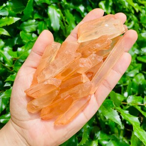 May include: A collection of orange and clear quartz crystal points. The points are sharp and have a natural, raw look.