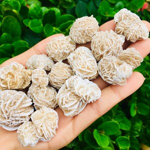 Raw Desert Rose Selenite Crystal (1) Natural Selenite White Rosette Stone 25-45mm Small Rough Crystal Gemstone image 6