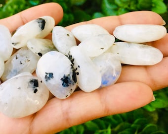 Op de afbeelding: Een handvol gepolijste maansteen edelstenen. De stenen zijn voornamelijk wit met zwarte en blauwe insluitsels. De gladde, ovaalvormige stenen worden in een hand gehouden tegen een achtergrond van groen gebladerte. Deze stenen worden vaak gebruikt in sieraden.