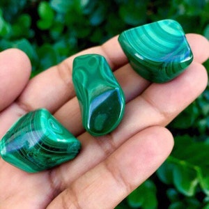 Green Malachite Crystal (1) Tumbled Malatchite Stone, Large Malachite Polished Gemstone NATURAL