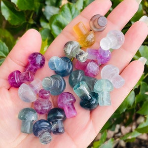 Rainbow Fluorite Mushroom: Tumbled Crystal Gemstone (18-25mm)