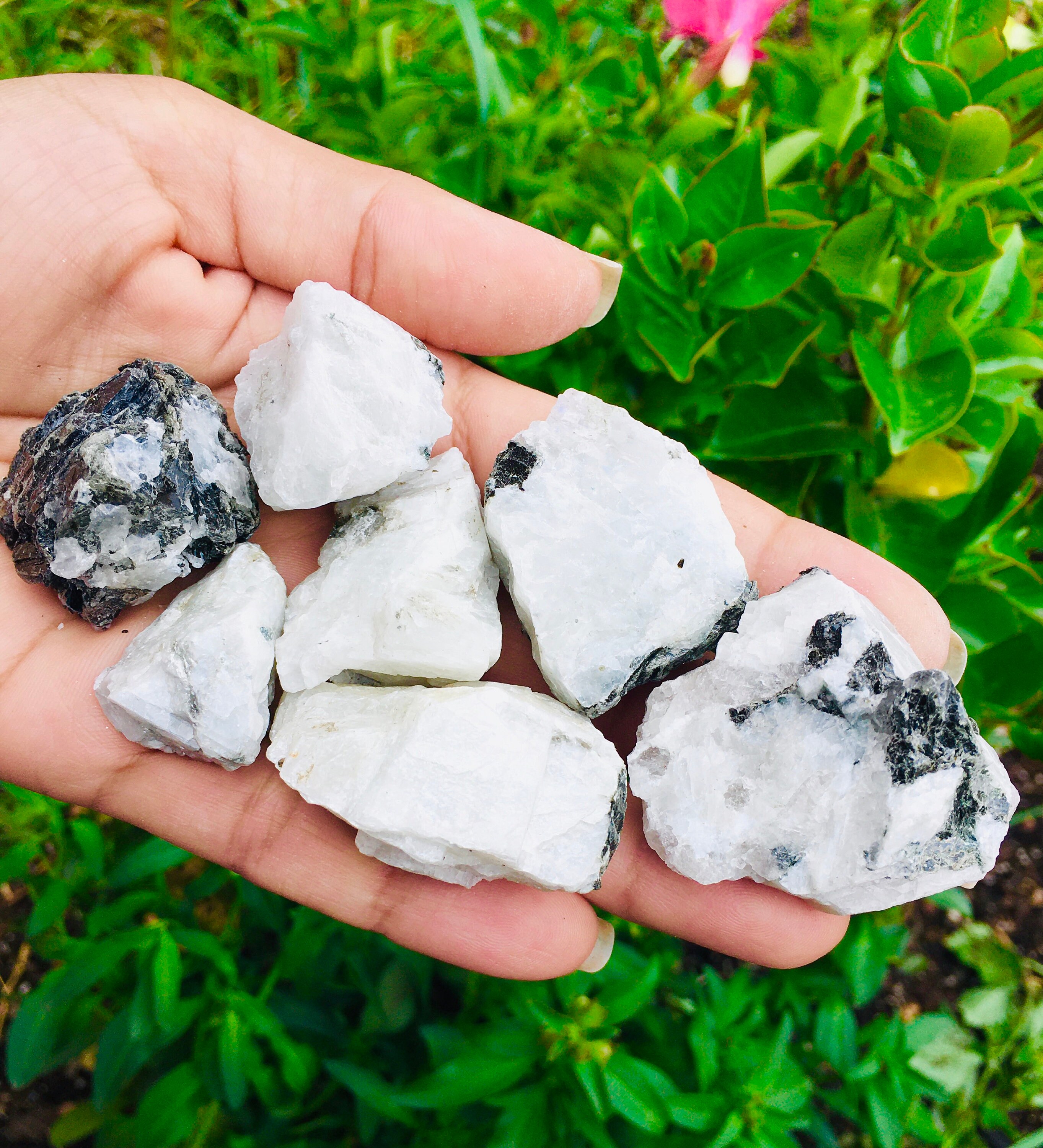 Raw Moonstone Crystal 1 White Black Plain Moon Stone Rough Etsy