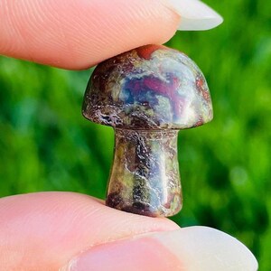 Dragon Bloodstone Mushroom: Tumbled Polished Crystal Gemstone (18-25mm)