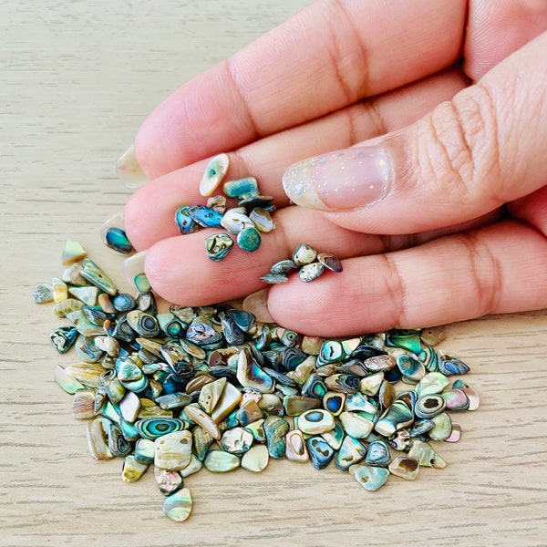 Blue Green Rainbow Abalone Shell Crystals: Tumbled Mini Seashell Crafting Pieces (10G)