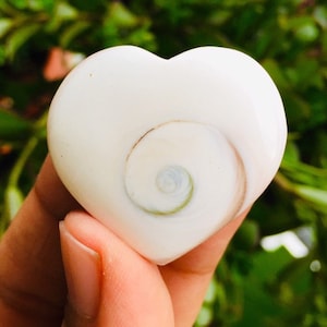 Crystal Shell Heart (1) Spiral Heart Sea Shell Fossil Natural Mineral Crystal Heart Shell Operculum Heart Carving Jewelry Supply Craft Stone