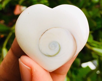 Coeur de coquillage en cristal (1) Coeur en spirale Coquillage marin Fossile Coeur en cristal minéral naturel Opercule de coeur pour sculpture Fourniture de bijoux Artisanat en pierre