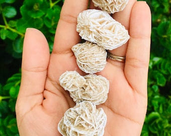 May include: A collection of six white and beige rose quartz crystals, also known as desert roses, arranged in a row on a hand.