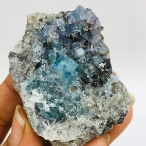 Op de afbeelding: Een cluster van blauwe en paarse fluorietkristallen ingebed in een grijze rotsmatrix. De kristallen zijn scherp en goed gedefinieerd, met een glazige glans.