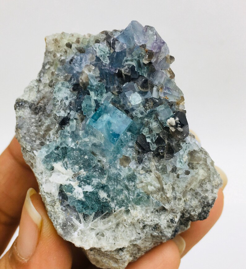 Op de afbeelding: Een cluster van blauwe en paarse fluorietkristallen ingebed in een grijze rotsmatrix. De kristallen zijn scherp en goed gedefinieerd, met een glazige glans.