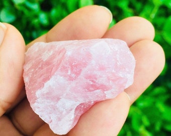 Raw Rose Quartz Crystal: Rough Pink Gemstone (1-2")