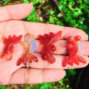 Carnelian Goldfish Crystal (1) Carnelian Stone ONE Carnelian Crystal Fish, Gemstone Carved Koi Fish Red Peach Orange White