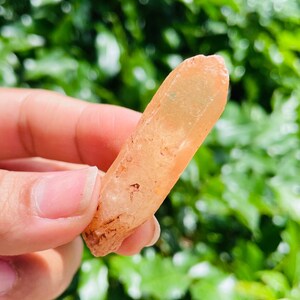May include: A light orange crystal point with a clear, translucent body and a slightly rough texture. The crystal is pointed at one end and has a flat base.