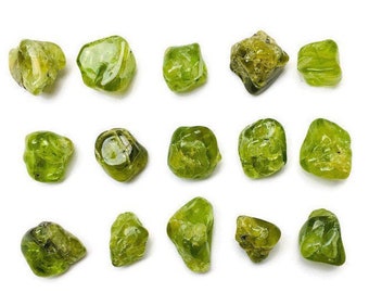Könnte beinhalten: Eine Sammlung von 14 grünen Peridot-Kristallen, jeder mit einer einzigartigen Form und Größe. Die Kristalle sind in einem Gittermuster auf weißem Hintergrund angeordnet.