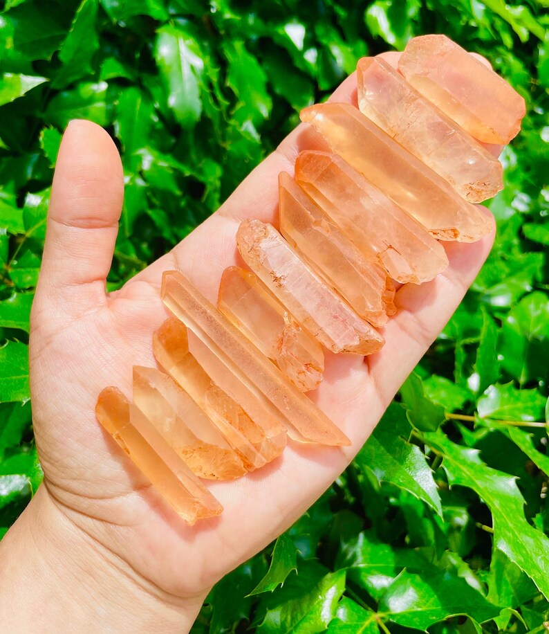 May include: A collection of 12 orange and clear quartz crystal points. The points are arranged in a fan shape and are approximately 1-2 inches in length.