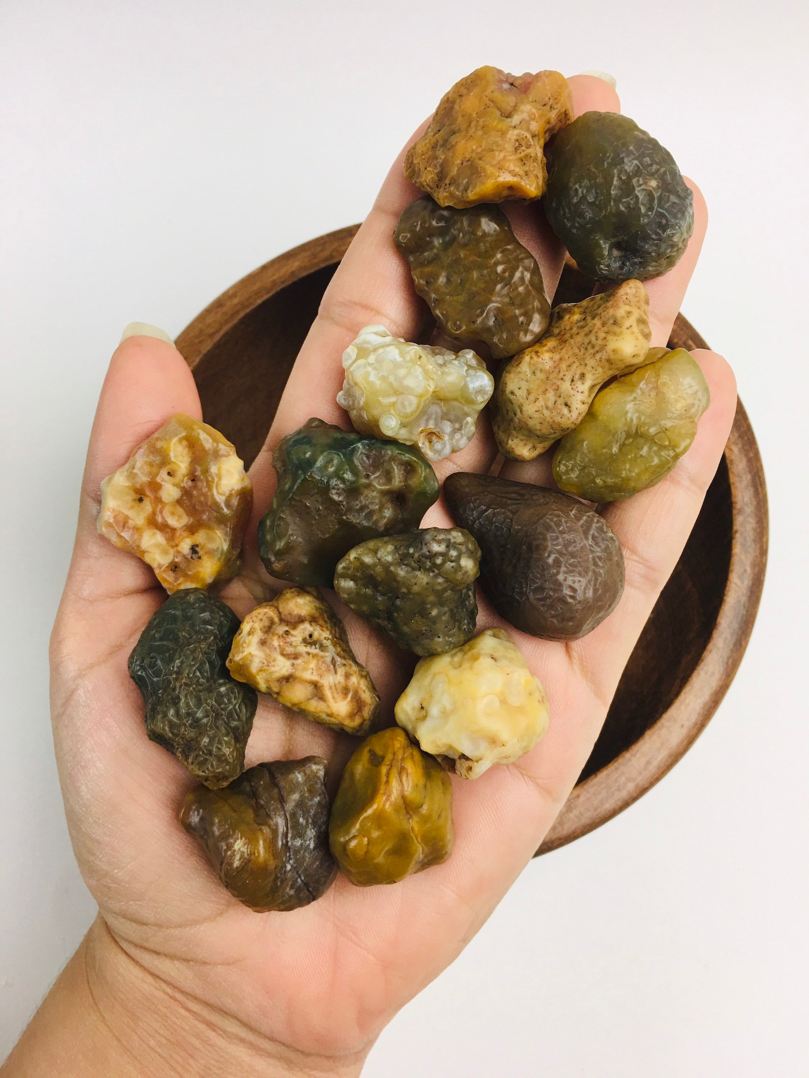 Gobi Eye Agate 1 Raw Agate Stone Natural MONGOLIA Gemstone Etsy