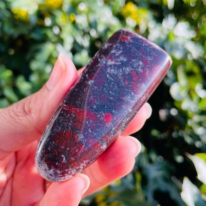 May include: A smooth, polished red and black gemstone with a unique, marbled pattern. The stone is shaped like a long, narrow oval.