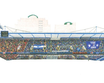 THE SHED END