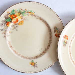 Vintage Myott Floral Cake Plates or Sandwich Plates (2), Vintage Teatime, Vintage Floral China