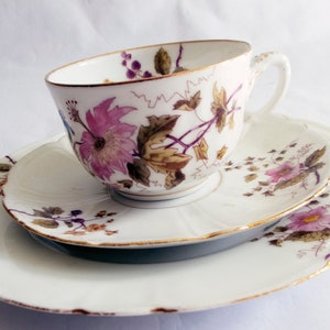 Victorian Teacup Trios with Hand Painted Floral and Blackberry Detail, Vintage Teatime, Antique China Teacups