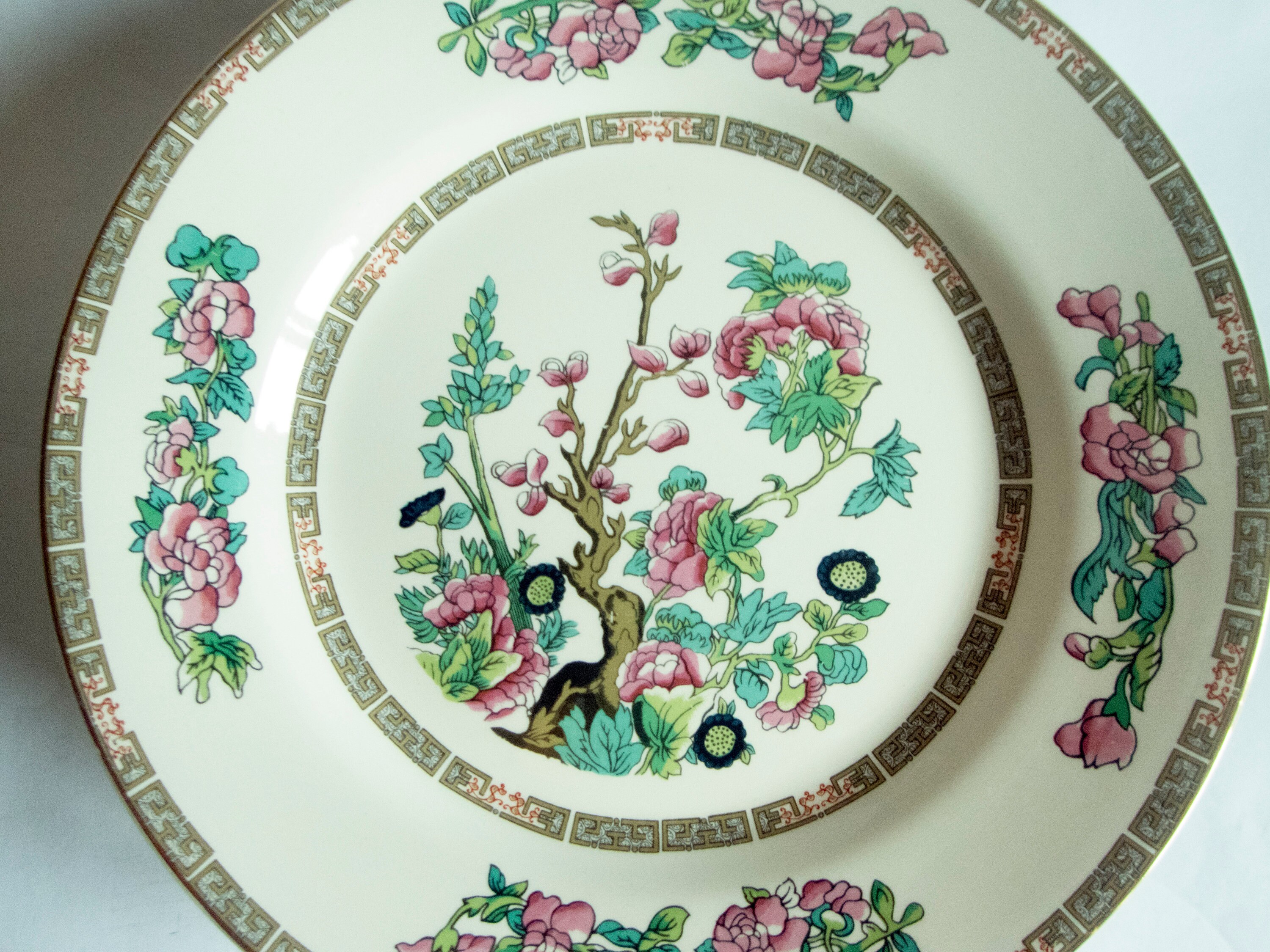 Lord Nelson Pottery 'indian Tree' Dinner Plates 6 Etsy Ireland