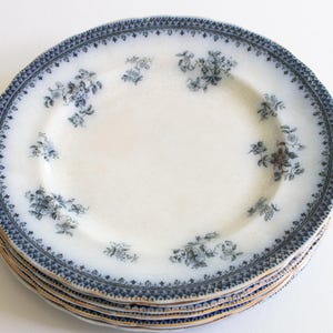 May include: A collection of white ceramic plates featuring a blue floral pattern and a patterned blue border. Each plate has a gold rim. The plates are stacked. The floral design is in the center of the plate.