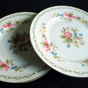 Puede incluir: Dos platos de cerámica blanca con un borde verde y dorado. Los platos presentan un diseño floral con flores rosas, azules y amarillas.