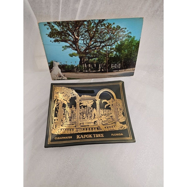 Kapok Tree Restaurant Inn Clearwater Ashtray Postcard Lot Vintage RARE