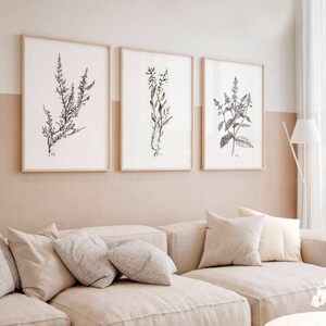 Black and white floral botanical set of 3 prints/ PRINTABLE trendy home decor,line art flowers plants design/ living room poster set bedroom