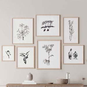 Druckbare Vogel Kunst Skizze DOWNLOAD Bleistift HAND Zeichnungen sofortig Digitale große Vogel Bild Illustration neutrale Grafik grau