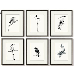 6 Sketches art Birds picture Gallery Wall SET 6 printable artwork nature Sketch Nordic Scandinavian Wall Decor set six DIGITAL DOWNLOAD