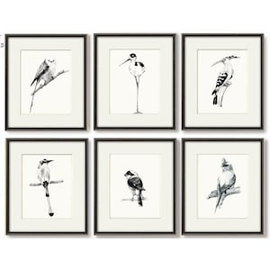 SET 6 Skizzen Kunst Vogel Bild Galerie Wand Set 6 druckbare Kunst / Natur SKETCH Nordic Scandinavian Wall Decor, Set sechs DIGITAL Download