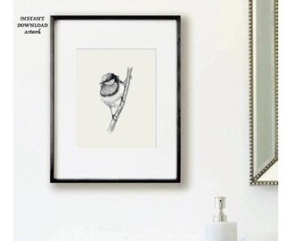 May include: A black and white drawing of a small bird perched on a branch. The bird is facing to the left and has a round body and a short tail. The drawing is framed in a black frame and is hanging on a white wall.