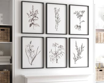 Minimalist Floral print Black and white botanical SET of 6 PRINTABLE Gallery wall set 6 six sketch art flower drawing artwork picture gray