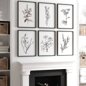 HERBS sketch Black and white Botanical print Herbs set of 6 DOWNLOAD  Herb Wall art Kitchen Print Set six Herb poster Herb Drawing PRINTABLE