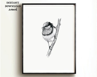 Op de afbeelding: Een zwart-witte potloodtekening van een kleine vogel die op een tak zit. De vogel kijkt naar links en heeft een rond lichaam met een klein hoofd en een lange staart. De tak is dun en heeft een paar bladeren.