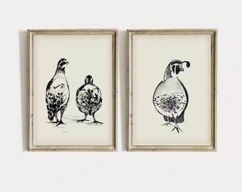 SET 2 Neutral Farmhouse Antique Sketch Print Vintage Quail Drawing PRINTABLE Art Digital Download Set two Quails