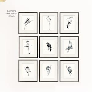 Gallery Wall SET von 9 Vogeldrucken, Vogeldruckbilder, schwarzweißes Tier, DRUCKBARE Wandkunst, Vogelsatz von neun Illustrationsstiftzeichnung