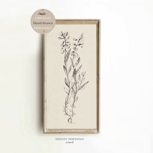 Tall Vintage Botanical Flower Sketch Long Narrow wall art print THIN vertical PRINTABLE earth tone Floral Drawing Print  Digital Download