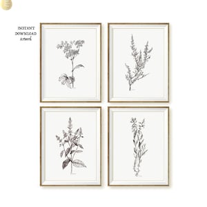 Flower Black white sketch Botanical print Set of 4 wall art PRINTABLE Floral Drawing Print picture Gray Flower Illustration Digital Download