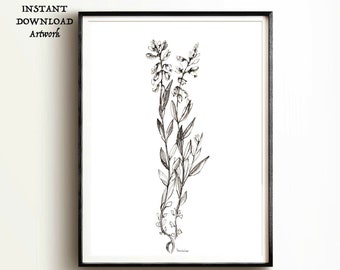 Wildflower Botanical Pen and ink floral drawing Wild Flower black and white sketch print picture artwork PRINTABLE DIGITAL Instant DOWNLOAD