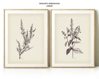 Vintage Black and white Botanical print set of 2 piece print set floral sketch DOWNLOAD french gray Antique wild flower drawing minimalist