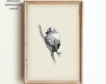 Op de afbeelding: Een zwart-witte potloodtekening van een kleine vogel die op een tak zit. De vogel kijkt naar links en heeft zijn hoofd lichtjes naar de zijkant gekanteld. De tekening is ingelijst in een licht houten lijst.