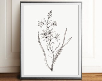 HERBS sketch Black white minimalist herb drawing Plant print Herb illustration Herbs Wall art Kitchen Print Herb poster artwork  PRINTABLE