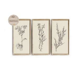 SET of 3 piece Vertical Tall Long Narrow wall art, neutral sketch,thin wall art PRINTABLE flower earth tone wall art,floral drawing set of 3