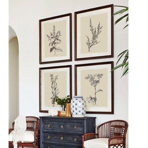 Neutral Botanical DOWNLOAD Floral Vintage black and white flower sketch Set 4 PRINTABLE wall set 4 floral digital botany drawing HAND drawn