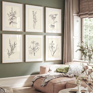 impressions florales vintage, art botanique minimaliste imprimable, lot de 6 impressions botaniques, impression galerie botanique, art mural floral imprimable, fleurs
