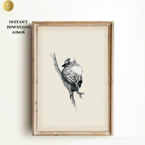 Black and white Vintage Sketch Art | Antique PRINTABLE Bird Picture Drawing | chalk Nature Print Digital Farmhouse wall decor