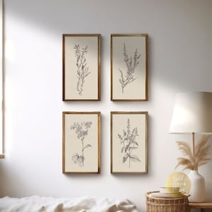 SET Vintage Botanical Sketch Set Tall Long Narrow wall art print vertical Panoramic PRINTABLE earth tones botanical drawing Digital Download