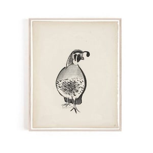 QUAIL Art Vintage Bird Prints Illustration,Quails Sketch Wall Art,Drawing Rustic cabin Farmhouse Wall Decor,vintage Large Print Bird DIGITAL